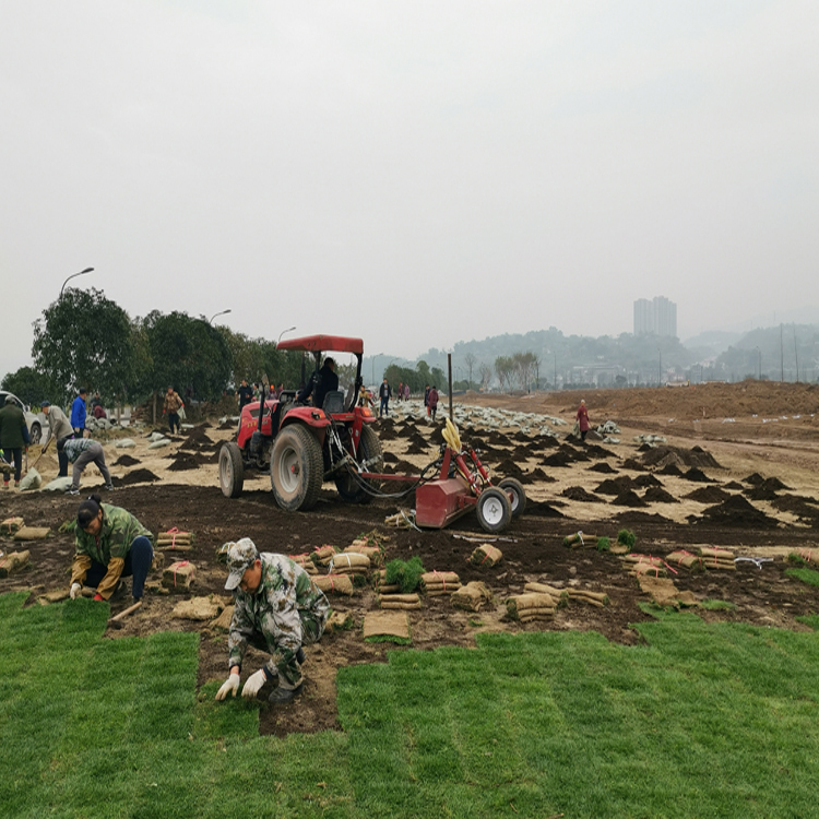 重庆营养土 有机土 草炭土 泥炭土 腐叶土 批发价
