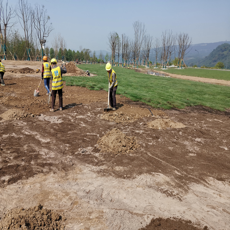 重庆营养土 泥炭土 腐叶土 轻质种植土 营养土 厂家电话