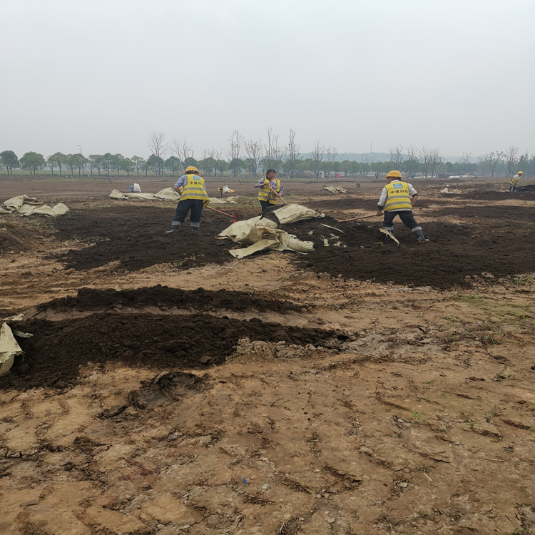 重庆营养土 有机土 轻基质 泥炭土 腐叶土 厂家销售