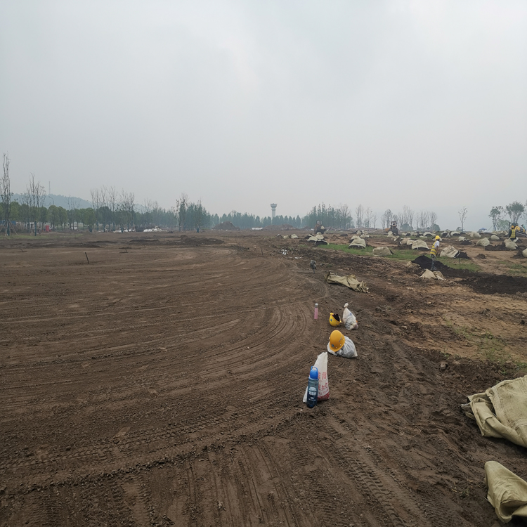 重庆营养土 水稻基质 有机土 草炭土 泥炭土 加工厂