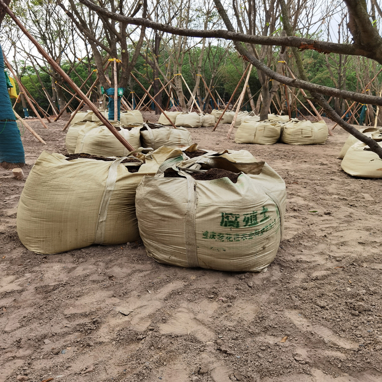 重庆营养土 腐叶土 轻质种植土 营养土 轻基质 销售商