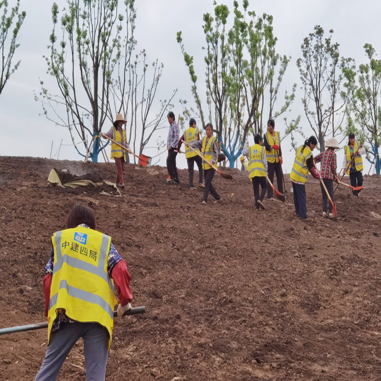 重庆营养土 腐殖土 水稻基质 有机土 草炭土 加工企业