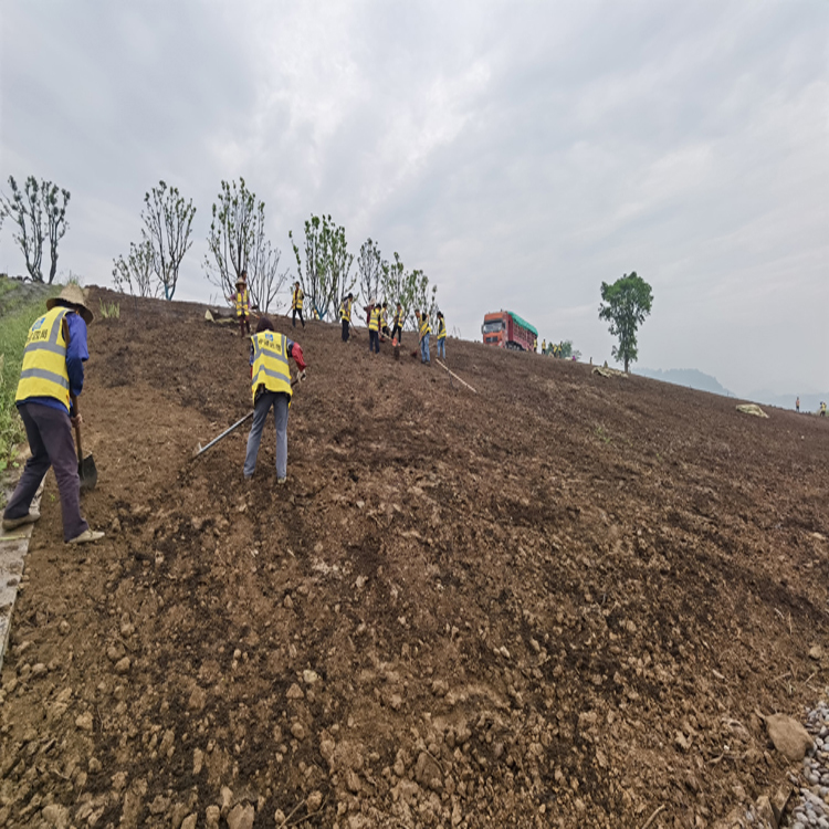 重庆营养土 屋顶轻质土 营养土 腐殖土 泥炭土 电话
