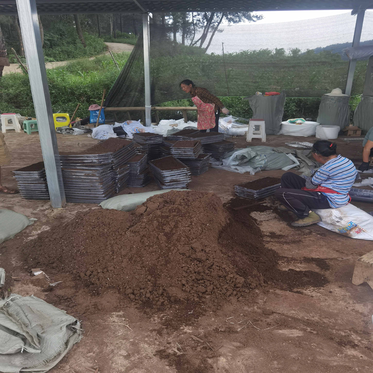 重庆营养土 屋顶轻质土 基质土 育苗基质 腐殖土 加工企业