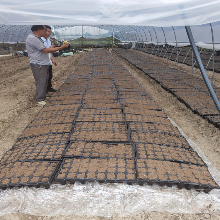 重庆营养土 营养土 腐殖土 屋顶轻质土 基质土 价钱