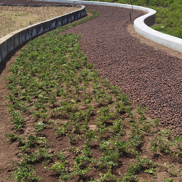 重庆营养土 泥炭土 腐叶土 有机土 草炭土 企业
