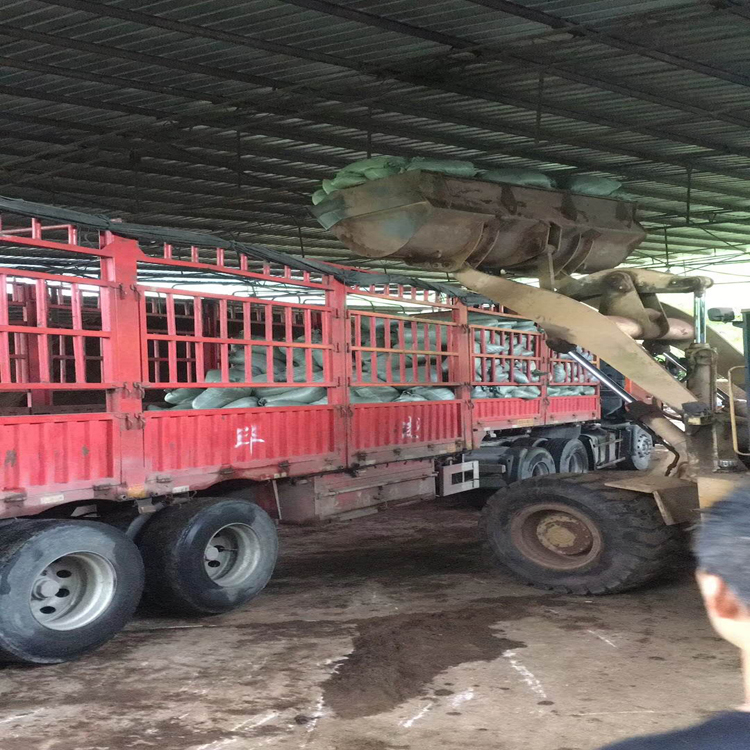 成都营养土 营养土 轻基质 屋顶轻质土 基质土 厂家价格