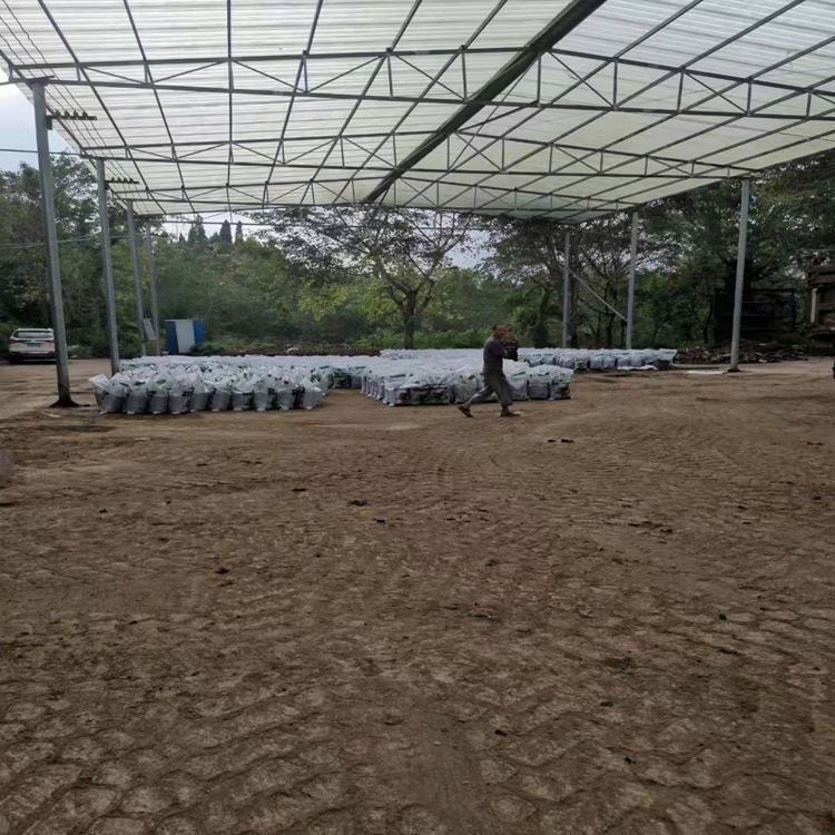 成都营养土 有机土 草炭土 泥炭土 腐叶土 批发价